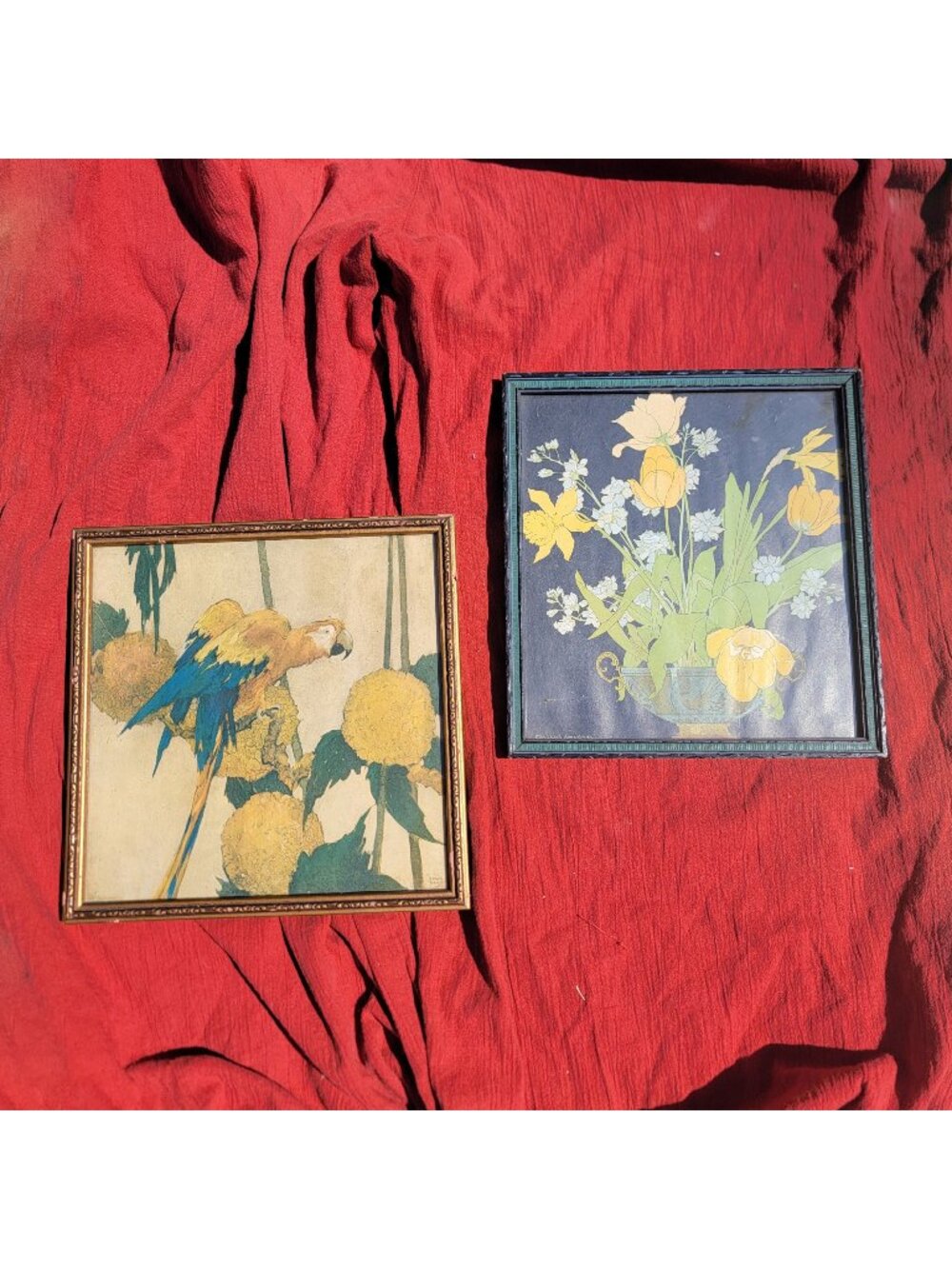 ❝ set of vintage art prints parrot and flowers 🦜💐 . ❞